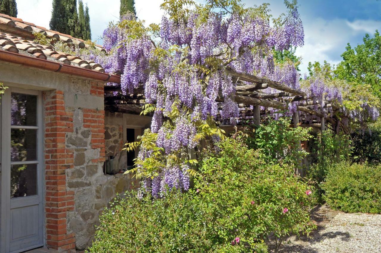 Chiarentana Di Donata Origo Villa Chianciano Terme Buitenkant foto